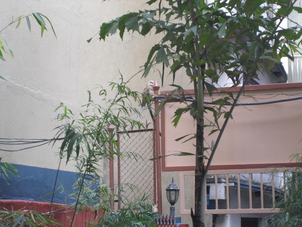 Tasi Dhargey Inn Catmandu Exterior foto
